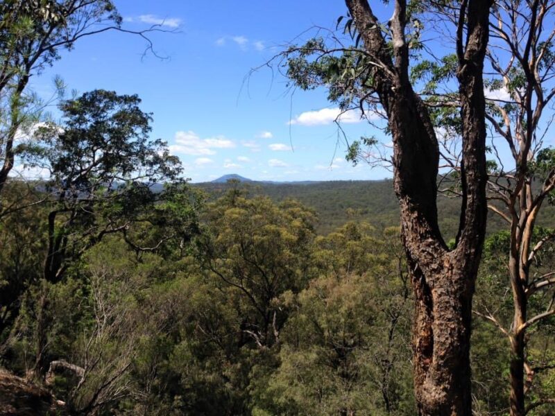 imgpsh_fullsize_anim