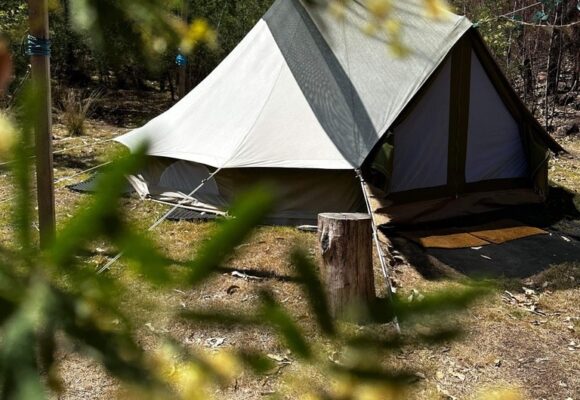 3EDD1A09-769F-4CA6-9066-0D958D205BB9_1_105_c