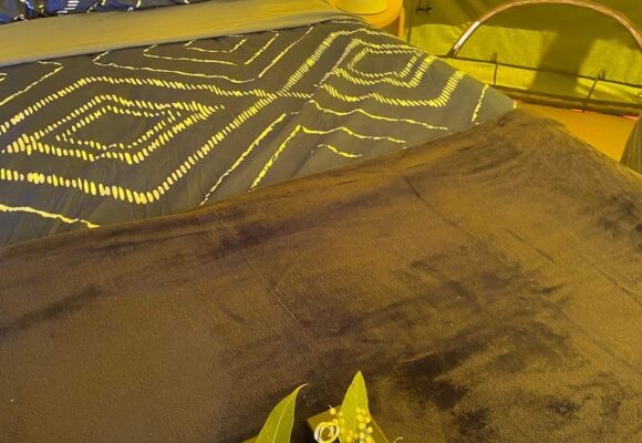 54D2FE15-5026-4864-8C54-C48E4DD124A1_1_105_c