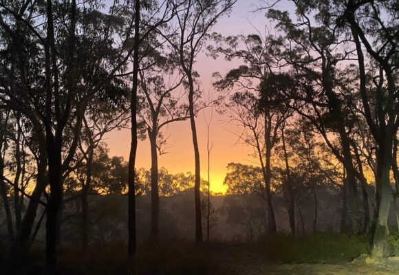 59E4EFA2-477C-4088-8140-AA3508049EB5_1_105_c