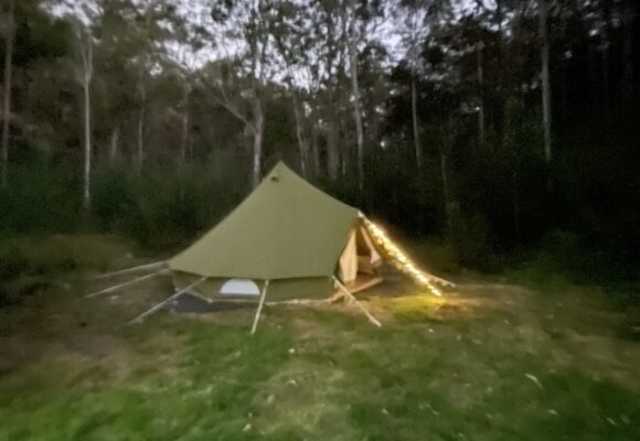 7243FA02-F2F5-49D4-A13D-046865BC08BA_1_105_c