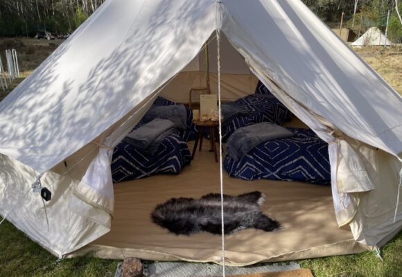 DF75A892-46C4-4E75-B081-49E263C24FFE_1_105_c