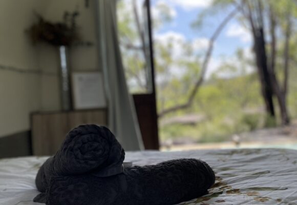 559AFA4F-9331-4644-99E5-DB49972E99EA_1_105_c