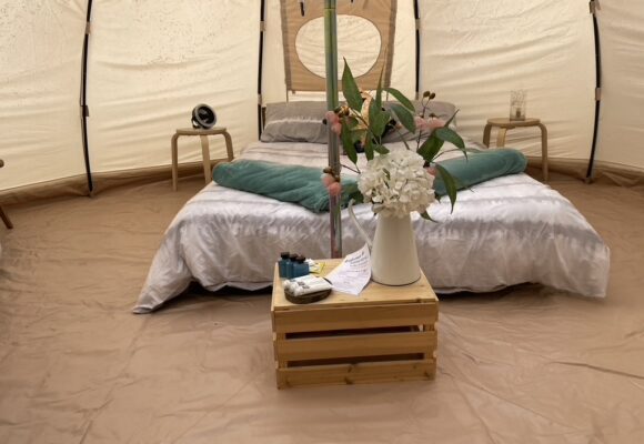 77ED71A8-E46B-451A-8952-44B8320FBE37_1_105_c