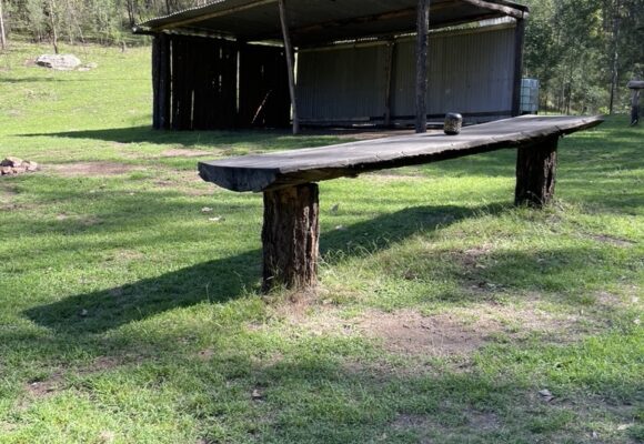 C9C8B5DC-40D9-4B0F-BC58-594656526243_1_105_c