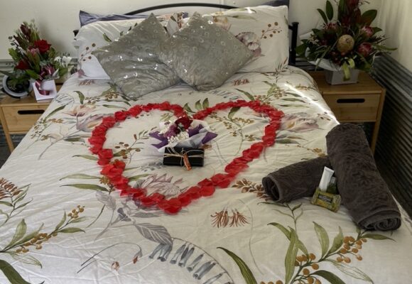 F36D2F10-75BE-4446-A68E-3872149B6545_1_105_c